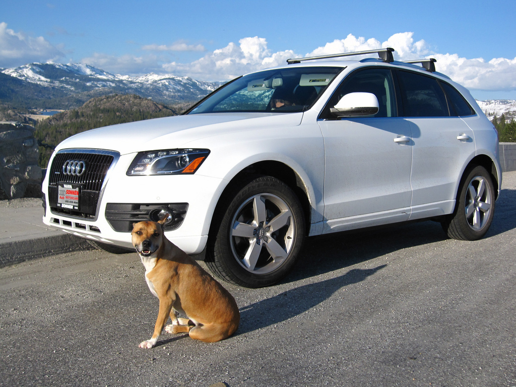 17378168Q5ESQUIROU.jpg