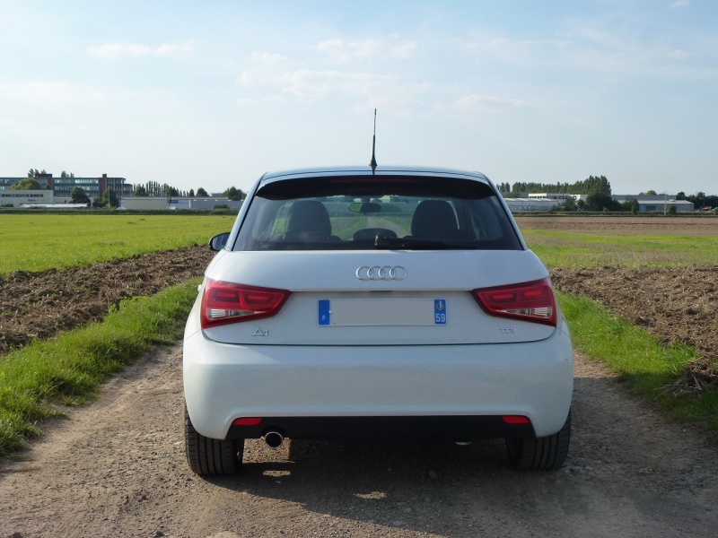 1742073Audi8.jpg