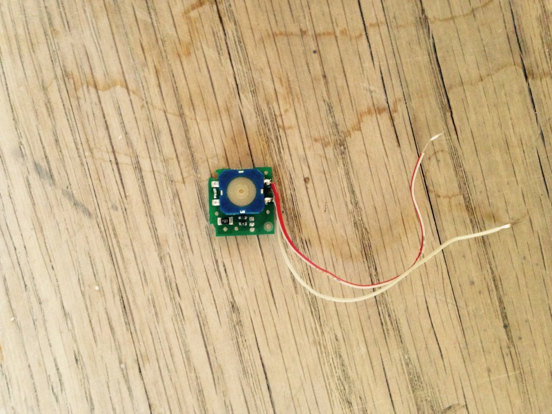 175773IMG0698.jpg