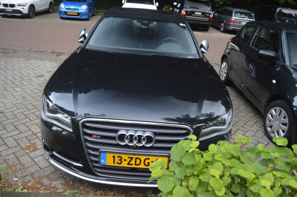 181556S8D4718.jpg