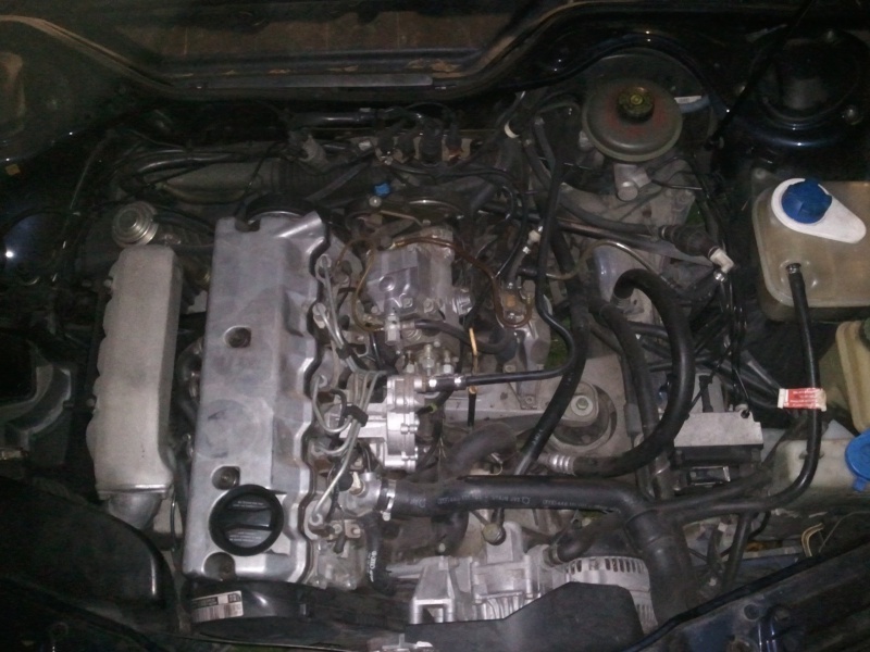 184326Photo3284.jpg
