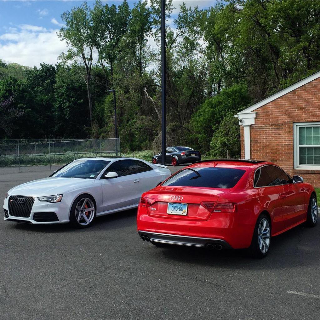 1876862195S5.jpg