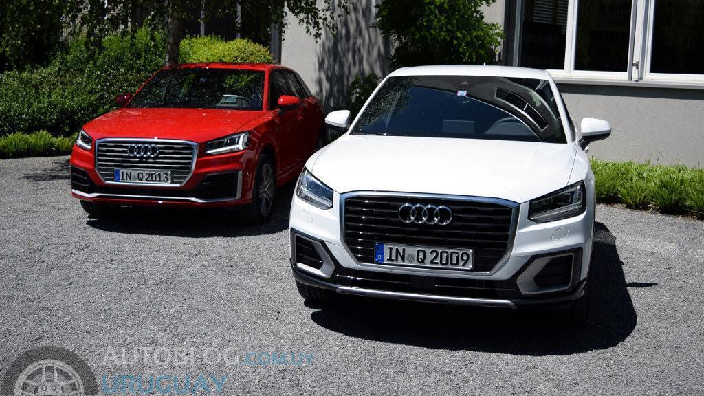 188204AUDIQ20302.jpg