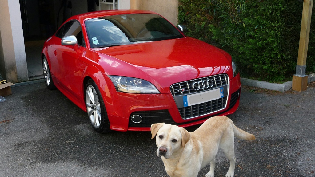 192727IMG20130126055656.jpg