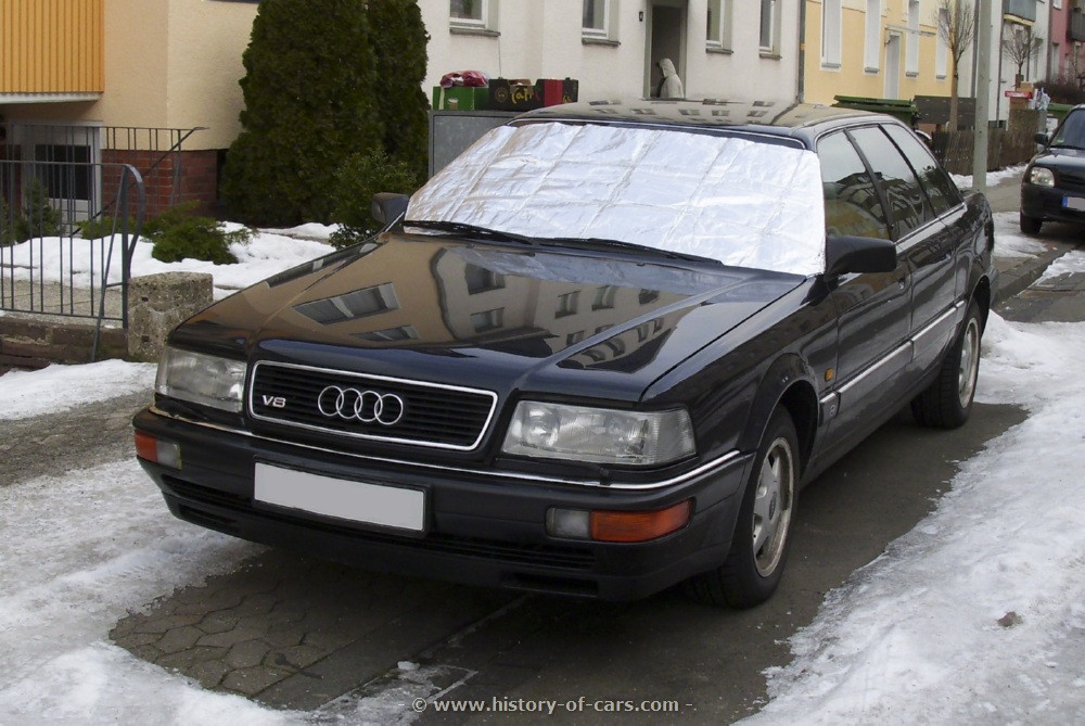 1990-v8-lang-11.jpg