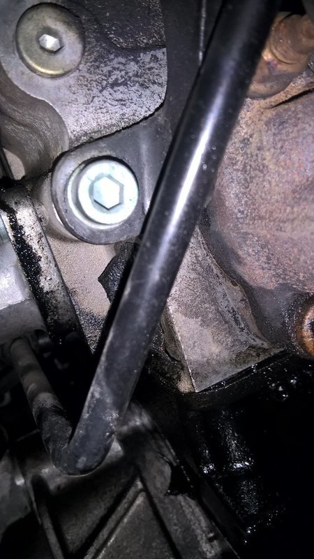 img-7266310a61.jpg?v=1