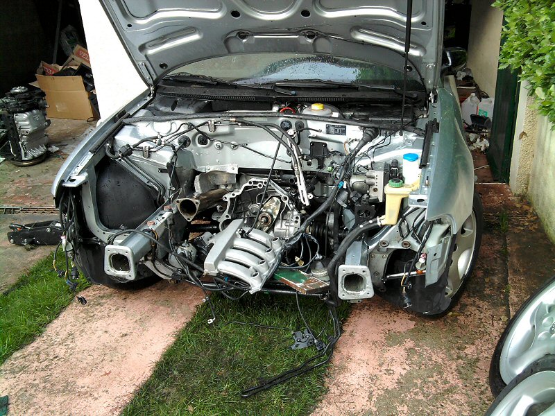 2010-014.jpg