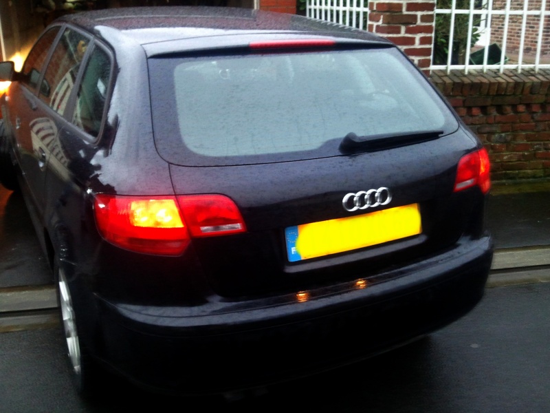 2012-124.jpg
