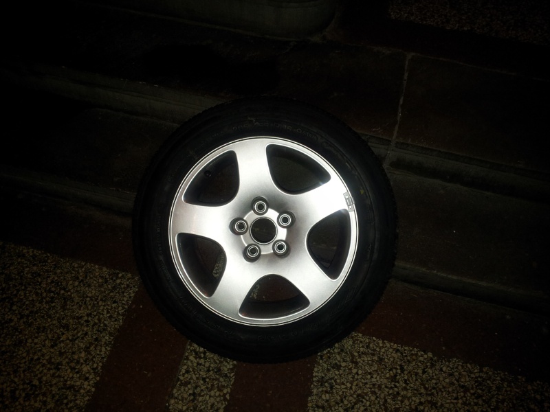 20130211.jpg