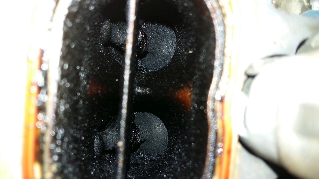 20160926_111200.jpg