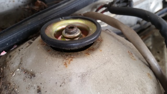 20170815_125355.jpg