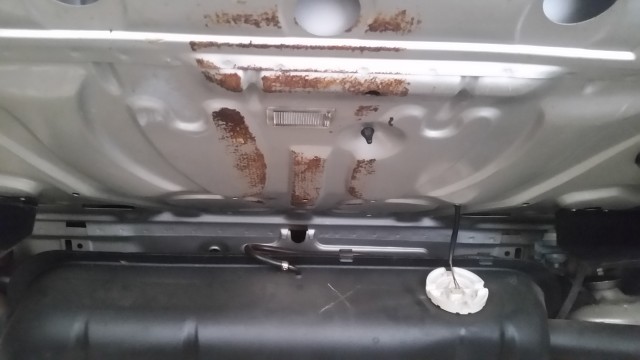 20170819_141150.jpg