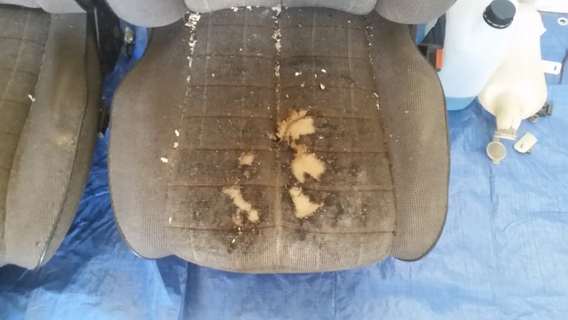 20170820_160749.jpg