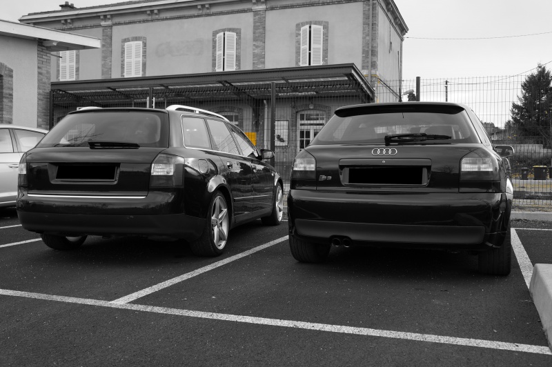 202938DSC01529.jpg