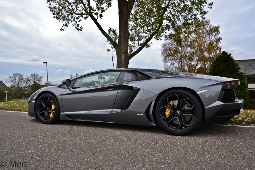 203156641LAMBORGHINIAVENTADORESQUIROU.jpg