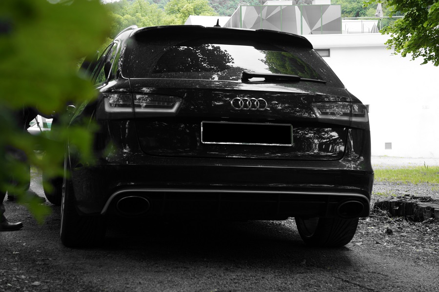 204601DSC09245Copie.jpg