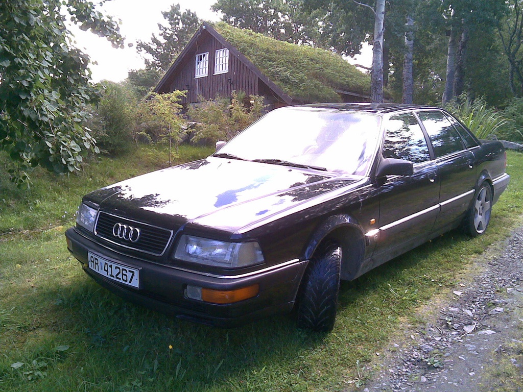 20460612673946999ac985478bb.jpg