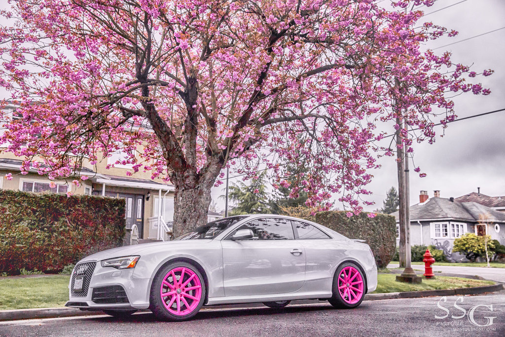 208429AUDIRS5807.jpg