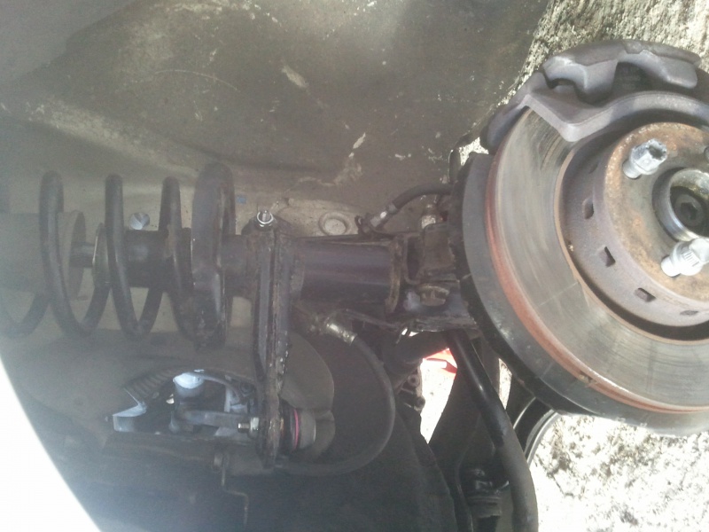 213339Photo7942.jpg
