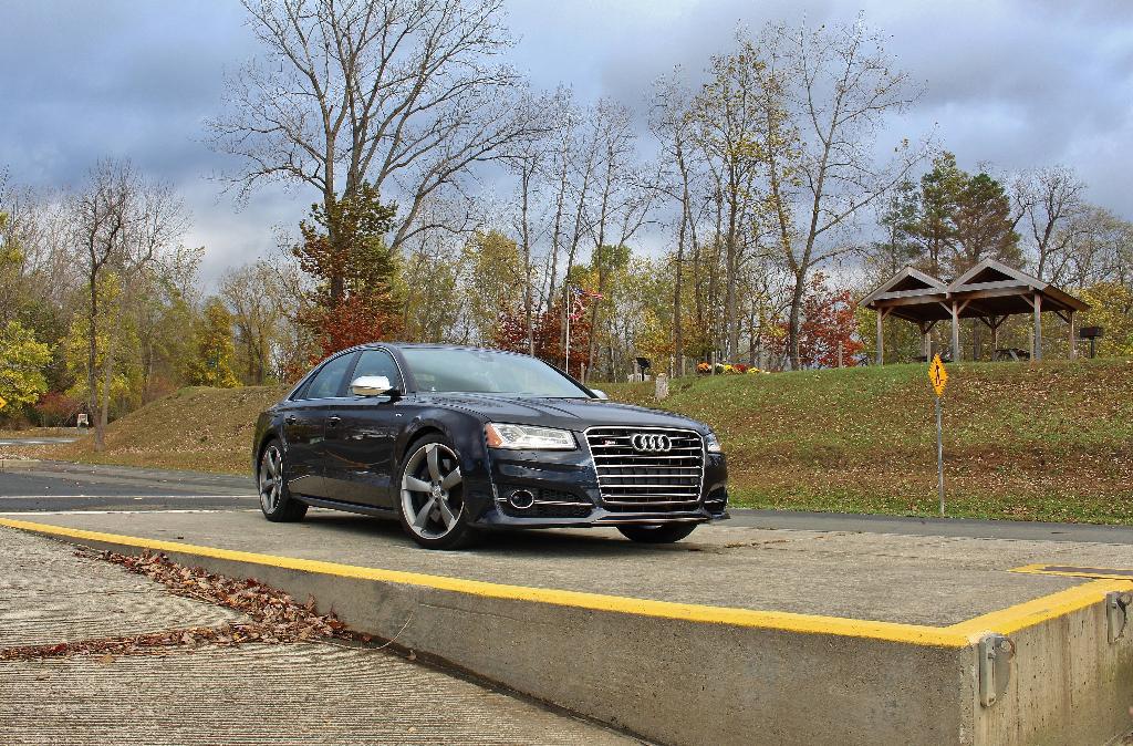213702S8D41237.jpg