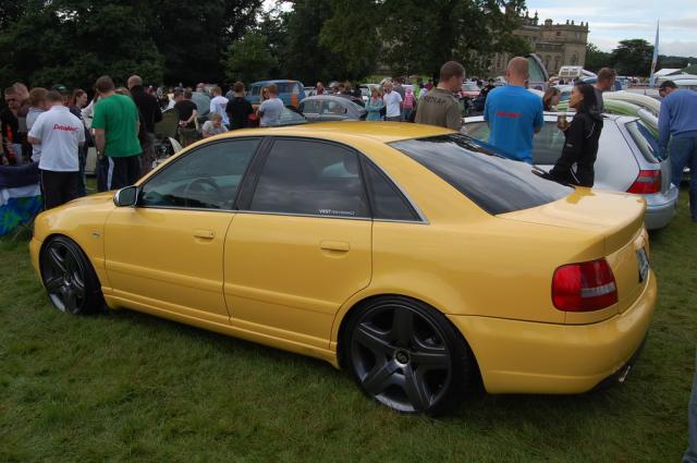 213748vwfestival08073.jpg