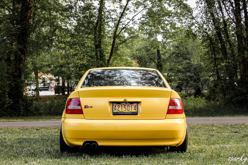 2157377263174988342893cb9db.jpg