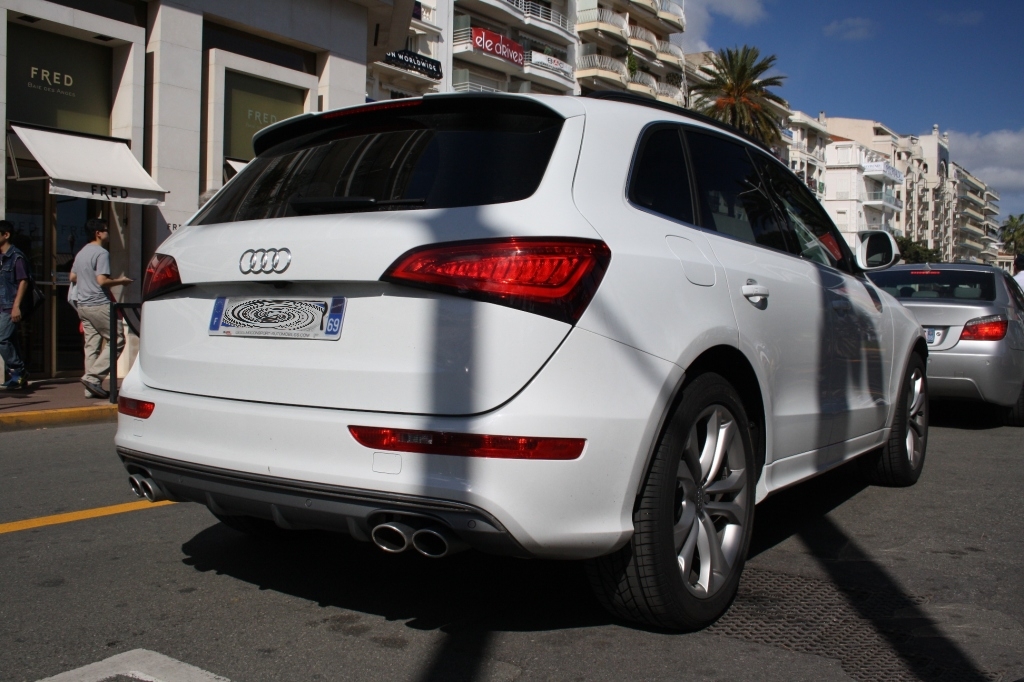 216471AUDISQ5606.jpg