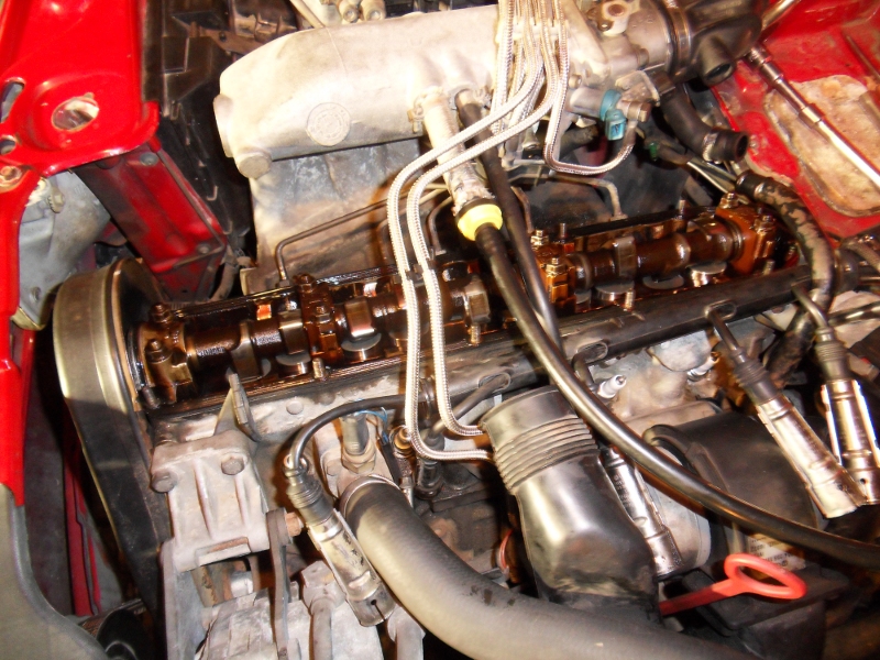 217672SDC12056.jpg