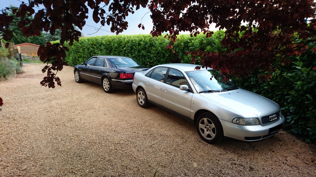 218319DSC1823.jpg