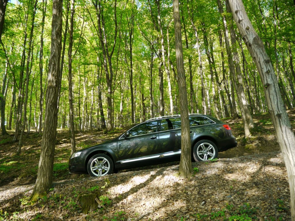 222538229AUDIA6C6ALLROAD.jpg