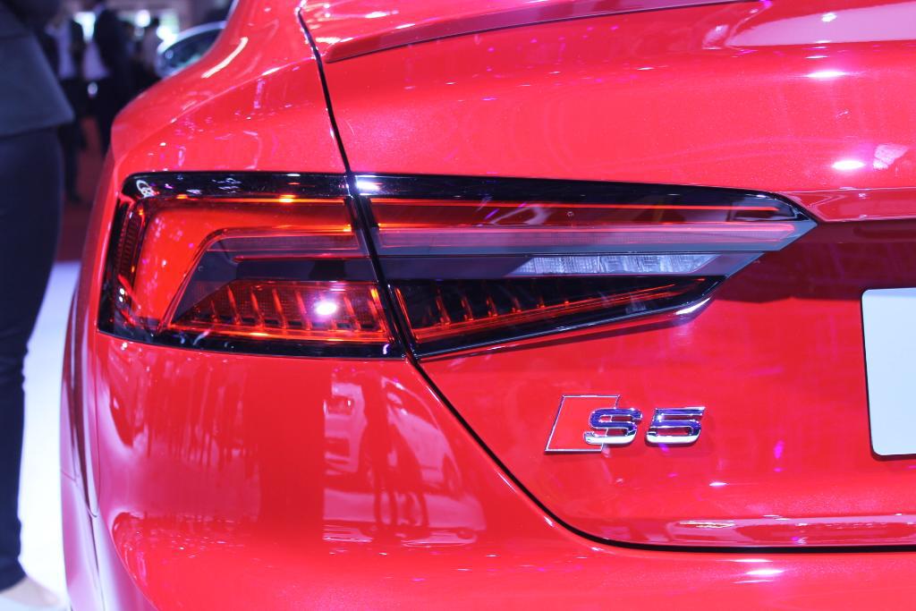 223808S5B90183.jpg
