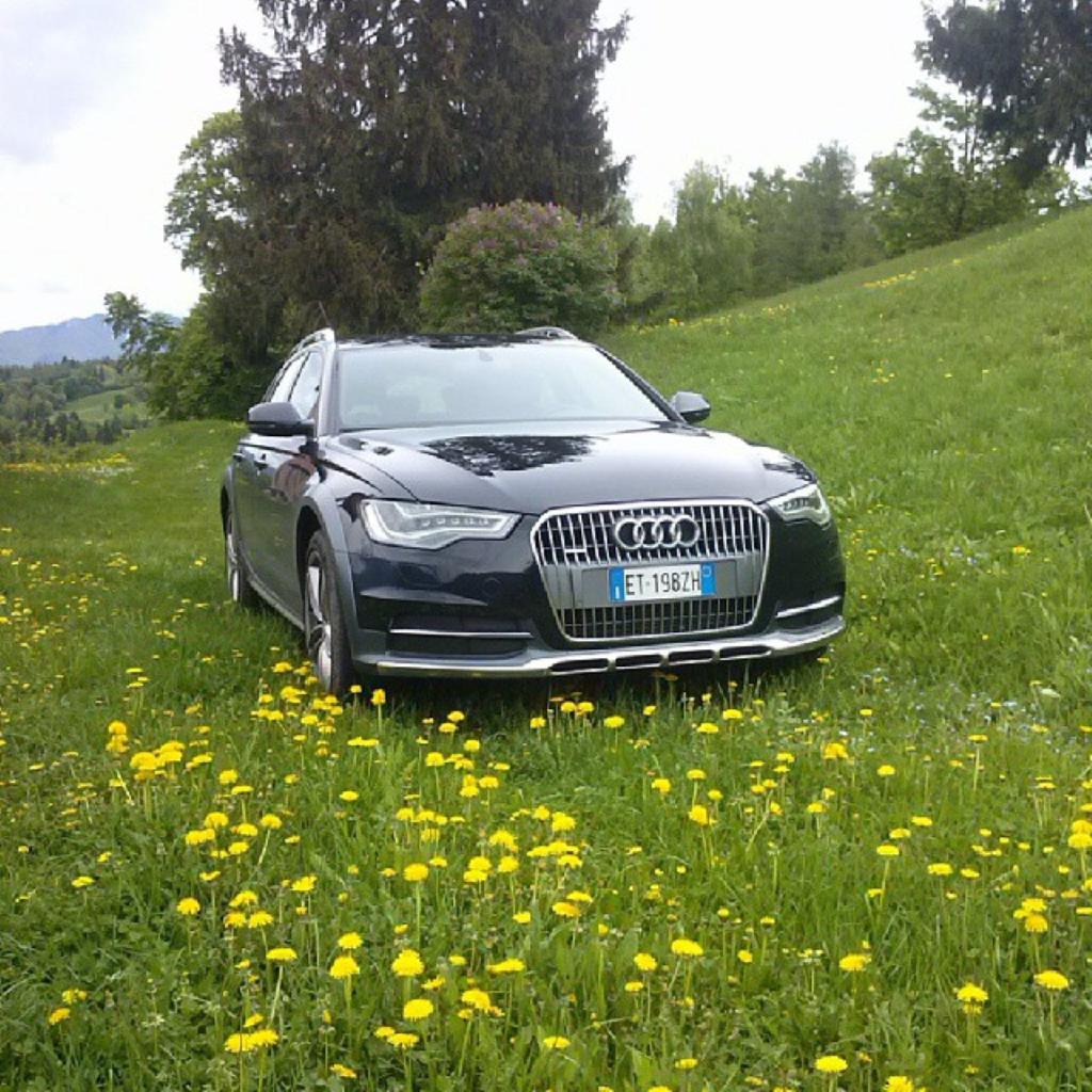 225670694AUDIA6C7ALLROAD.jpg