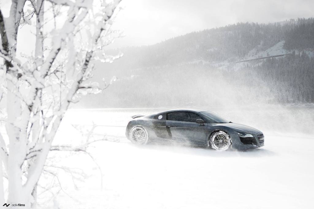 2265741761NEIGE.jpg