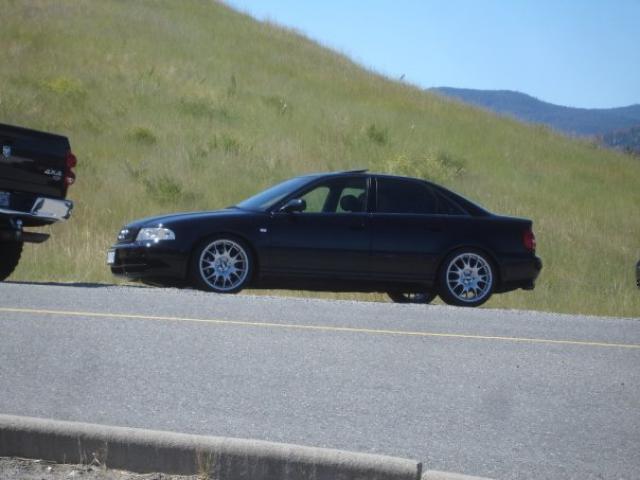 226961243.jpg