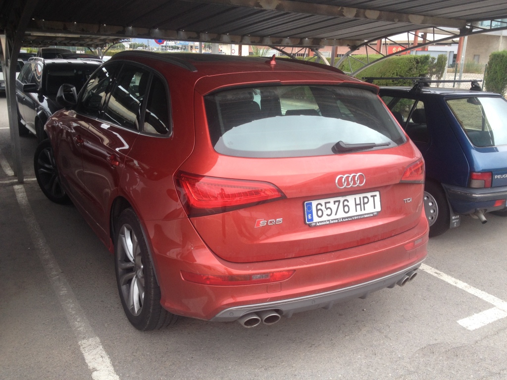 227359AUDISQ51325.jpg