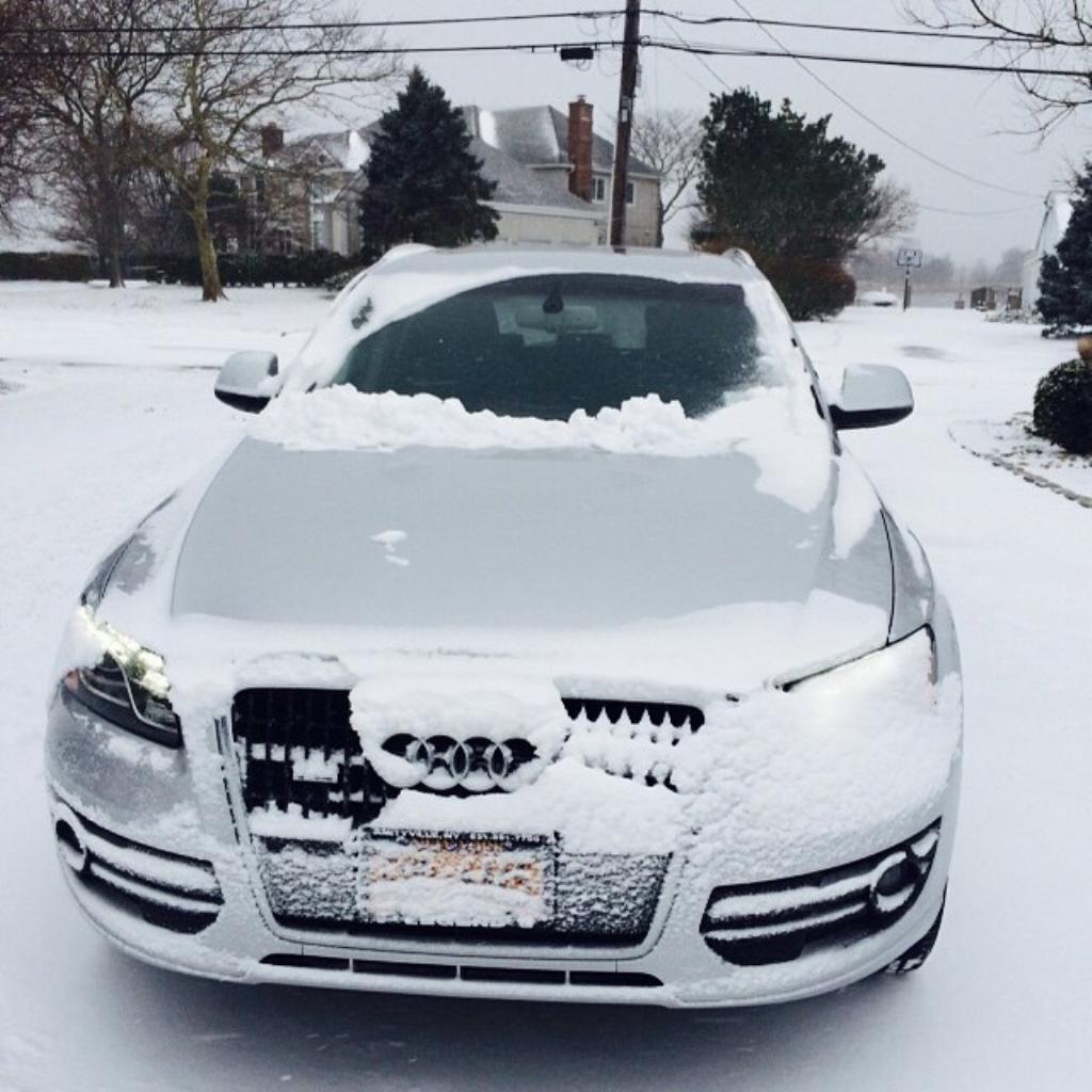 2287851216NEIGE.jpg