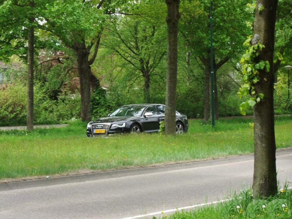 230528S8D4722.jpg