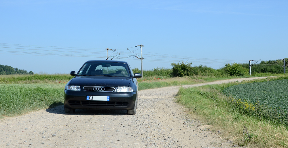 232665DSC5128b.jpg