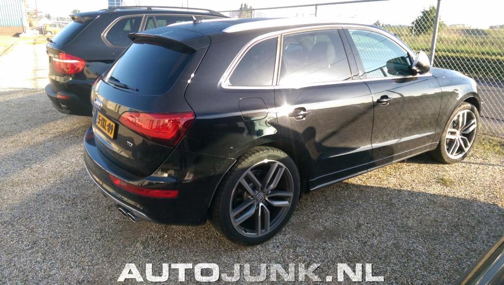 233797AUDISQ51577.jpg