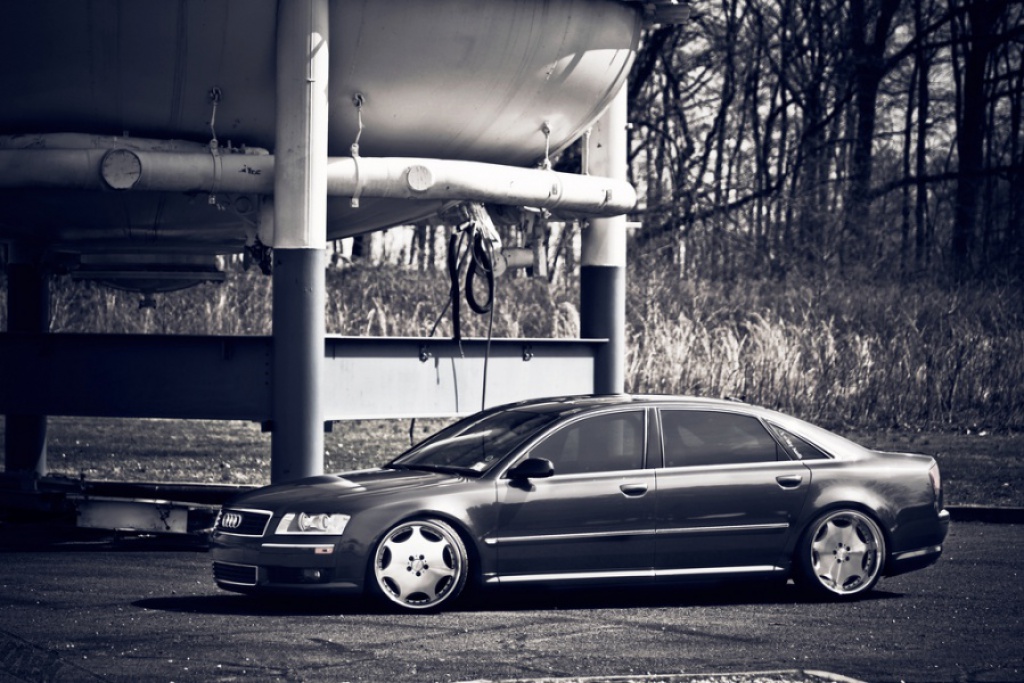 234628smusersimg219978.jpg