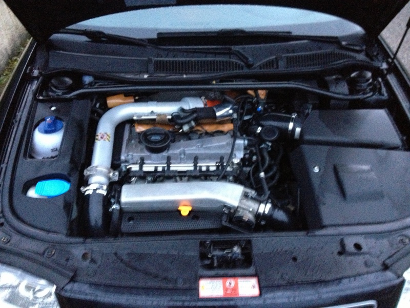 237117IMG04891.jpg