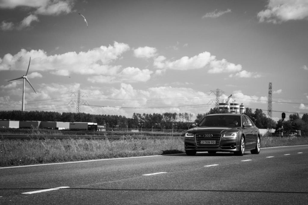 238430S8D41106.jpg