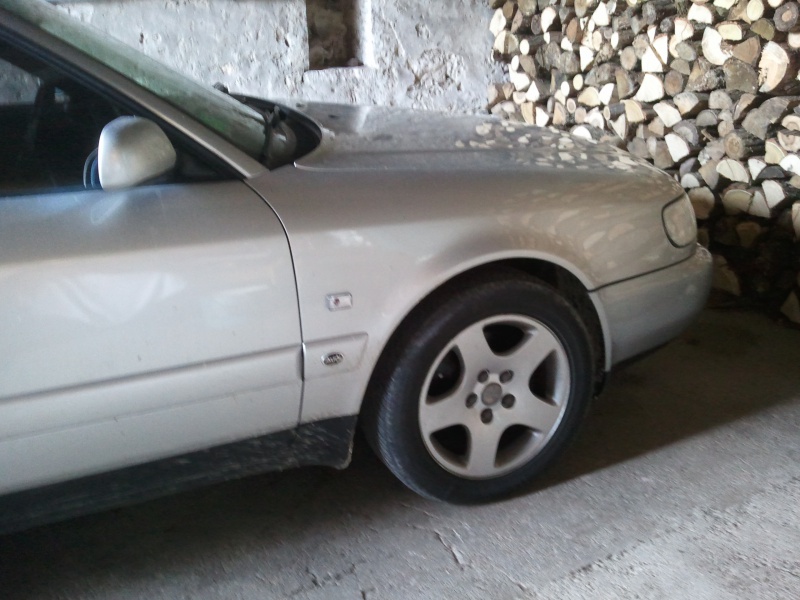 238520Photo3928.jpg