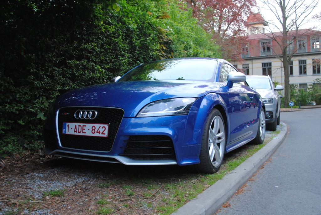 239559AUDITTRS1530.jpg