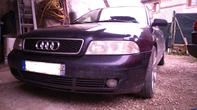 242088DSC0128.jpg