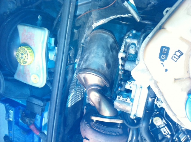 243464IMG10551.jpg