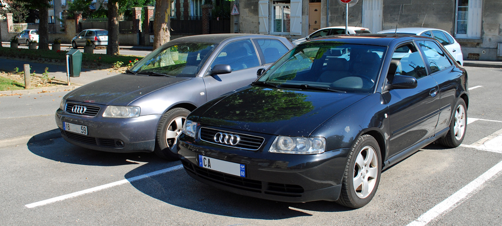 245431DSC4190b.jpg