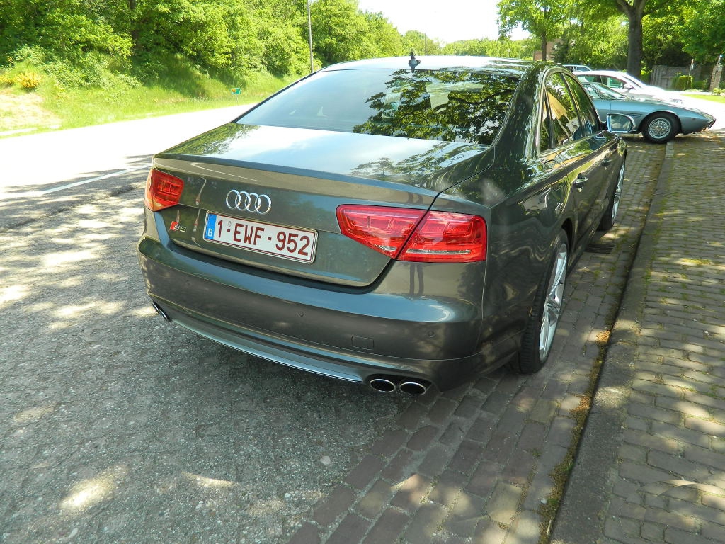 245547S8D4685.jpg