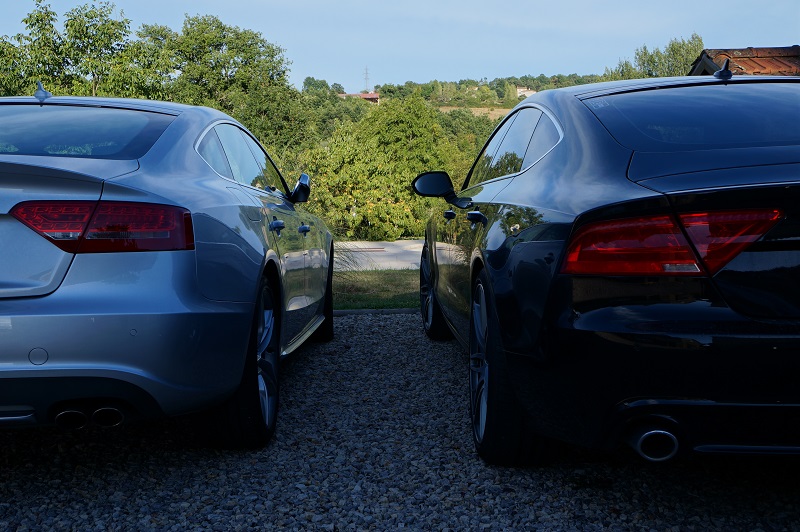 247560DSC05379Copie.jpg