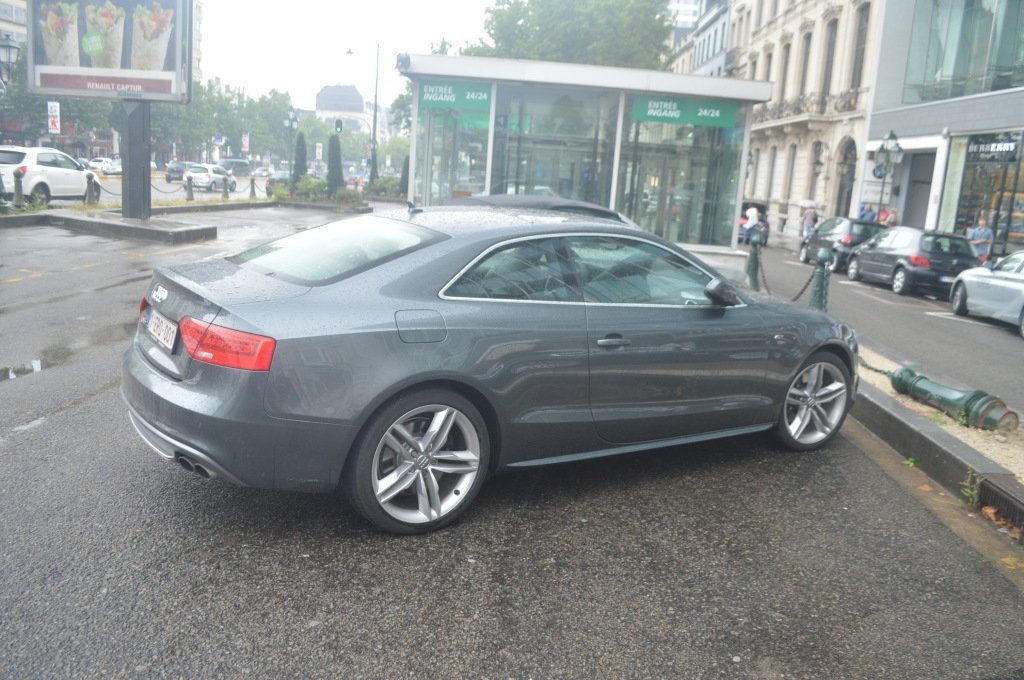 247883910S5.jpg